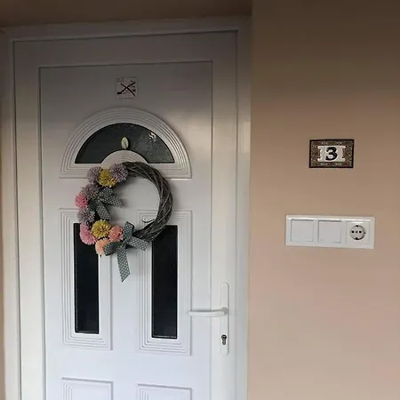 Sara Vendeghaz דירה היידובסרמן