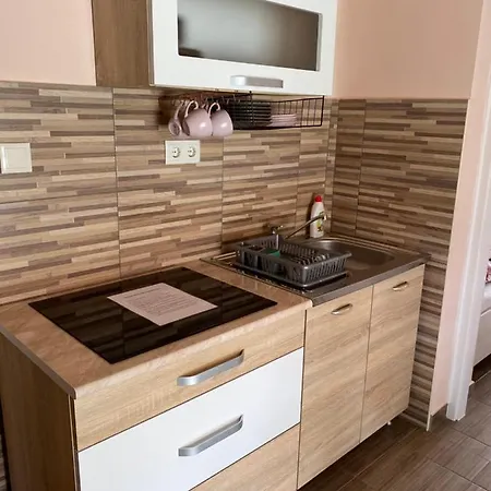 Apartment Sara Vendeghaz Hajduboszormeny