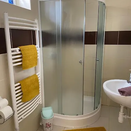 Sara Vendeghaz היידובסרמן