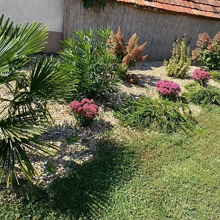 Apartment Sara Vendeghaz Hajduboszormeny