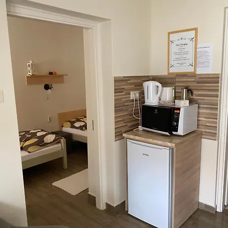 Sara Vendeghaz דירה