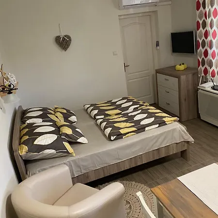 Apartment Sara Vendeghaz Hajduboszormeny