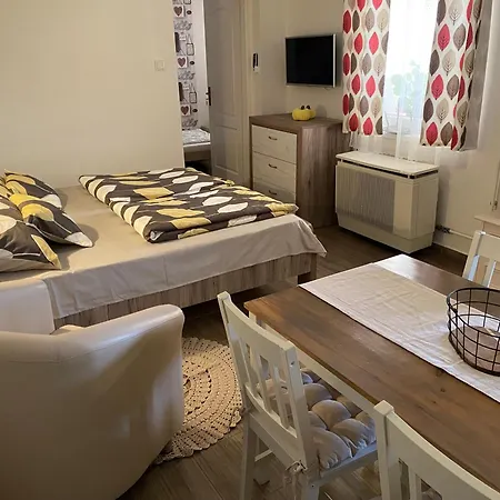 Sara Vendeghaz * היידובסרמן