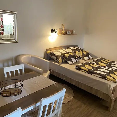 Sara Vendeghaz Apartment Hajduboszormeny