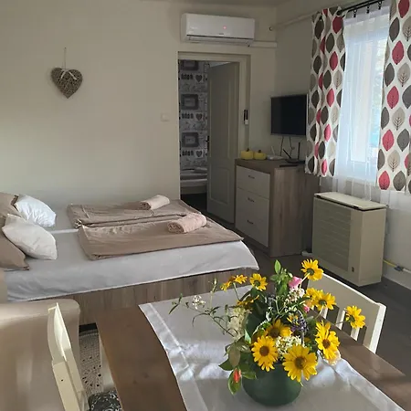 Sara Vendeghaz Apartmán Hajduboszormeny