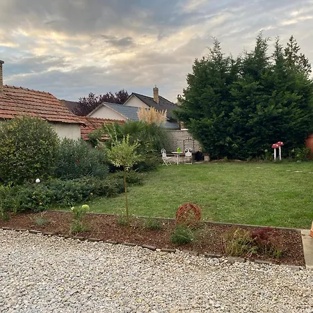 Sara Vendeghaz היידובסרמן