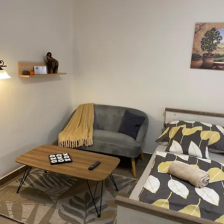 Sara Vendeghaz 아파트